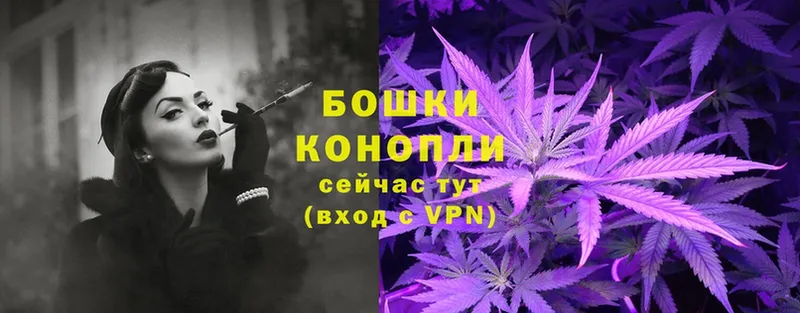 Конопля SATIVA & INDICA  Зерноград 